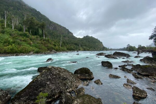 PHOTO-2026-02-12-11-09-54 3