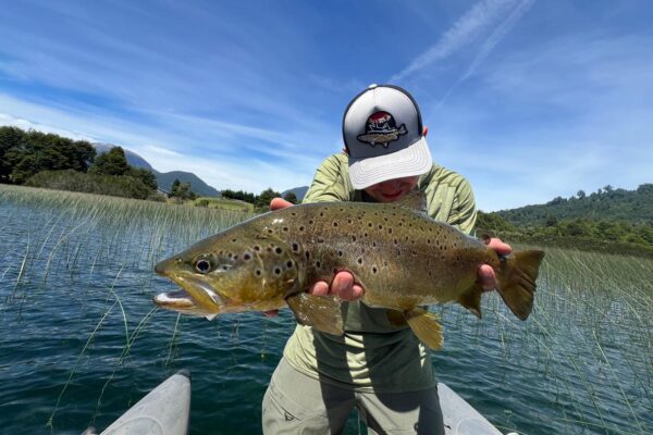 PHOTO-2026-02-12-11-09-55 3